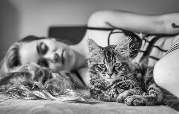 Cat, look, girl, black and white, monochrome, cat