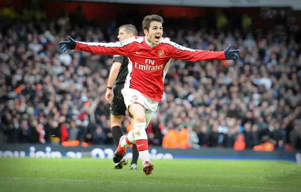 Fabregas, Arsenal, Premier League