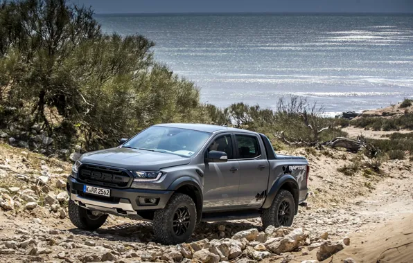 Water, grey, coast, vegetation, Ford, Raptor, pickup, Ranger