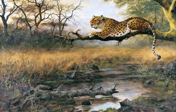 Leopard, Trees, Branch, Picture, Predator, Big cat, German artist, George Majewicz