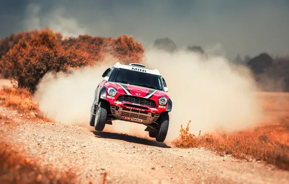 Red, Mini, Dust, Sport, Speed, Race, Rally, SUV
