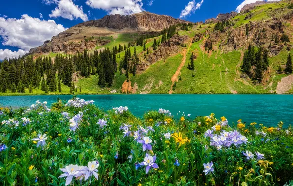 Greens, forest, summer, clouds, flowers, mountains, lake, blue