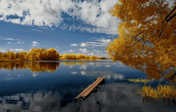 Picture summer, clouds, trees, lake, reflection, инфракрасная фотография