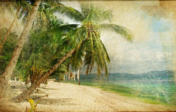 Picture sea, palm trees, people, coast, vintage, vintage, old photo
