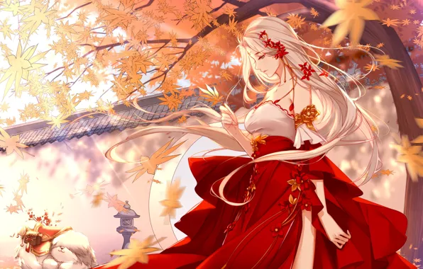 Picture autumn, leaves, girl