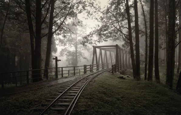 Road, bridge, morning
