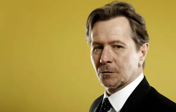 Picture look, actor, Gary Oldman