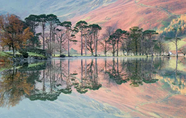 Trees, mountains, lake, reflection