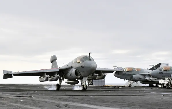 Grumman, Prowler, US NAVY, EA-6B, EW, carrier-based aircraft