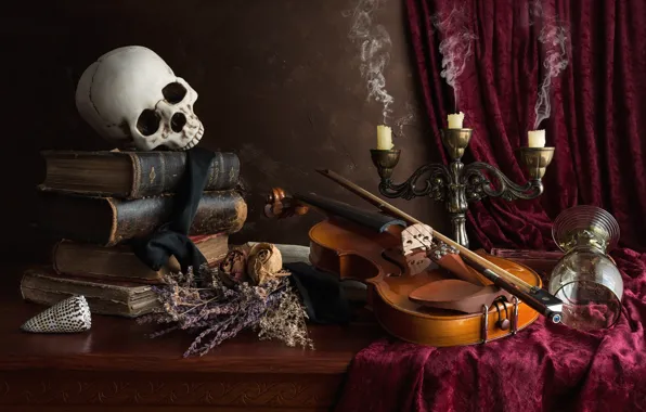 Violin, glass, books, skull, candles, still life, the dried flowers