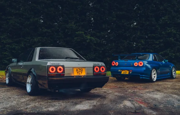 GTR, Nissan, Coupe, Skyline, R30, GTR R34, R31