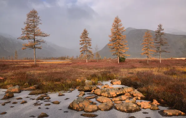 Autumn, the sky, trees, mountains, fog, stones, hills, shore