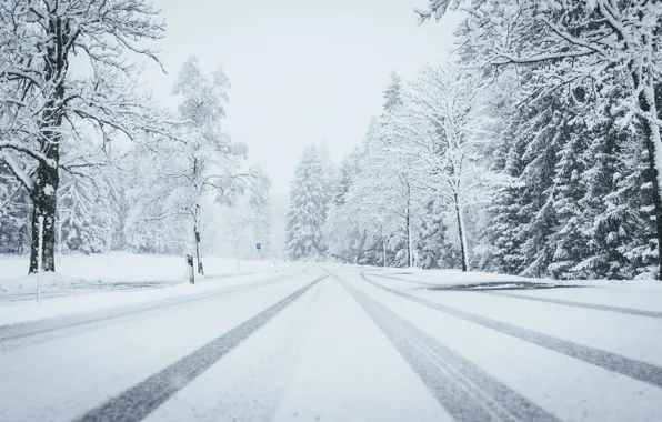 Winter, frost, road, forest, snow, trees, branches, strip