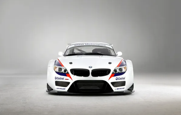 Bmw, gt3