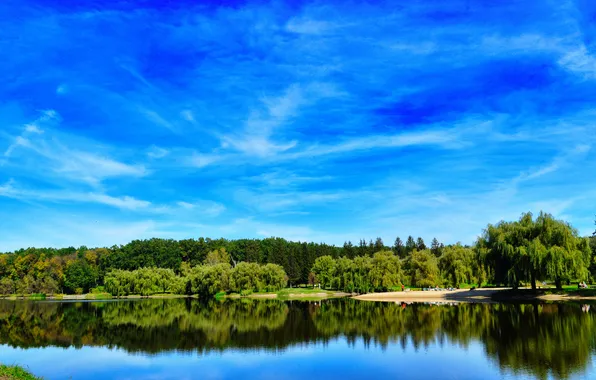 Picture summer, landscape, nature, river