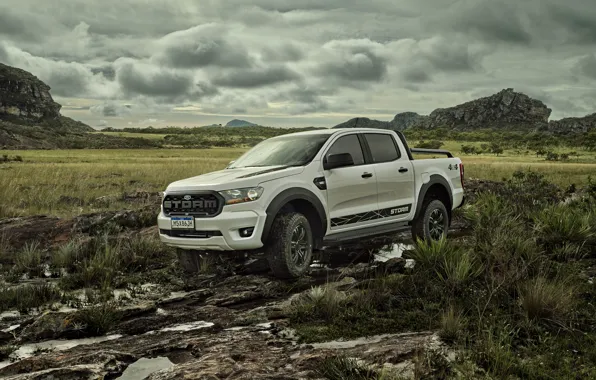 Picture vegetation, Ford, plain, the roads, pickup, Storm, Ranger, 2020