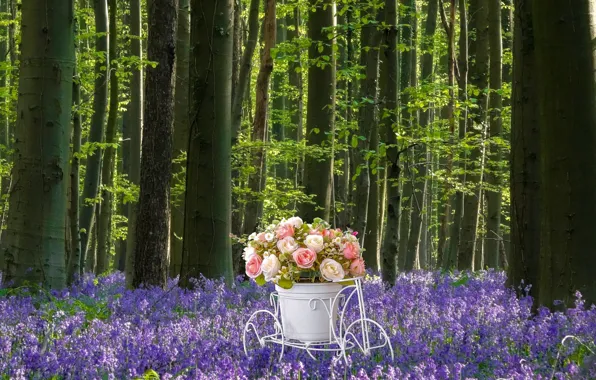 Forest, white, flowers, bike, glade, roses, bouquet, pot