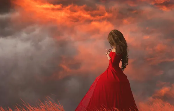 Field, grass, girl, clouds, sunset, nature, pose, brown hair