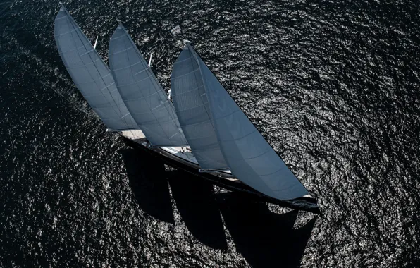Sea, movement, yacht, top, sails, scale 93, Tom VanOossanen, SY SEA EAGLE II