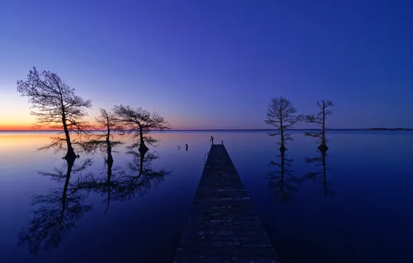 Picture trees, lake, reflection, pier, horizon, Waiting