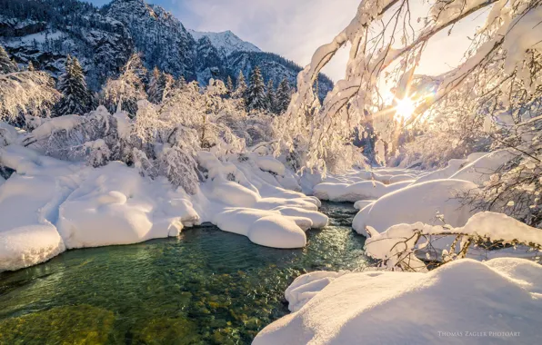 Winter, forest, water, the sun, snow, trees, river, stream