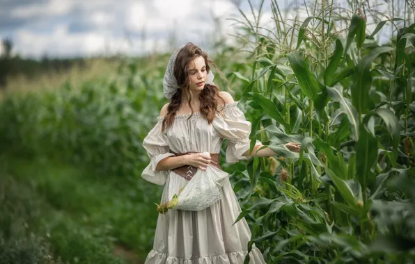 Field, look, girl, nature, corn, dress, neckline, brown hair
