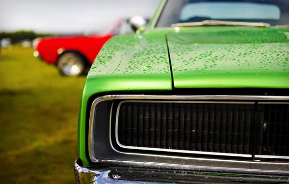 Green, dodge, charger