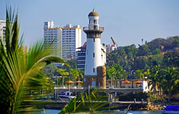 Picture water, trees, the city, lighthouse, home, resort, Palma., akapulko mexyk