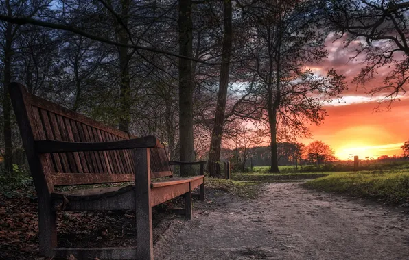 Autumn, sunset, nature, bench