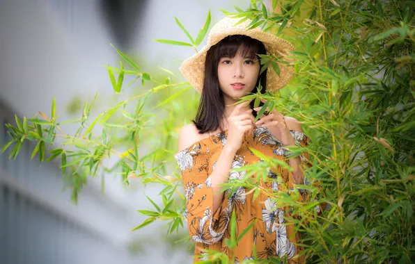 Picture look, girl, hat, dress, Asian, cutie