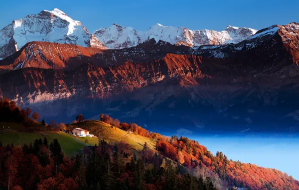 Trees, mountains, nature, valley