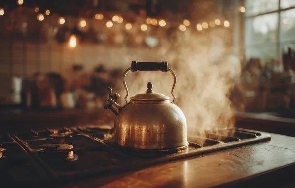 Metal, lights, wall, kettle, window, couples, kitchen, plate