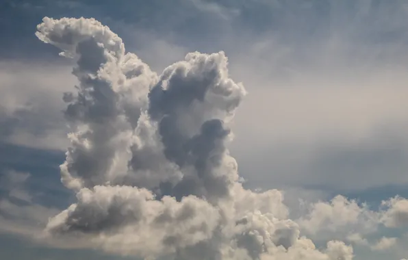 The sky, clouds, cloud