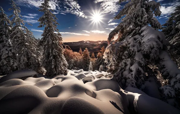 Picture winter, the sun, rays, snow, trees, landscape, mountains, nature