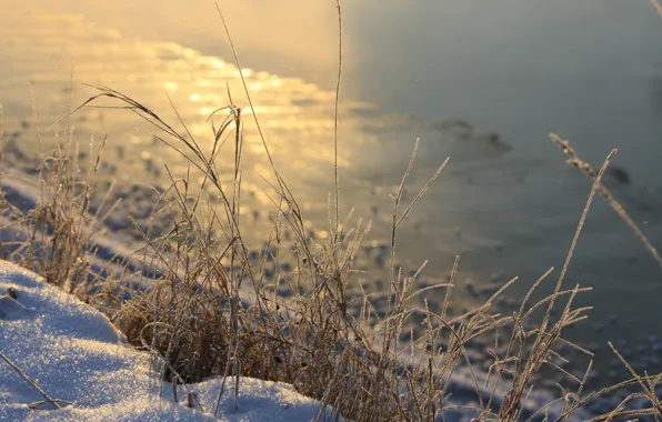 Picture winter, grass, snow, river