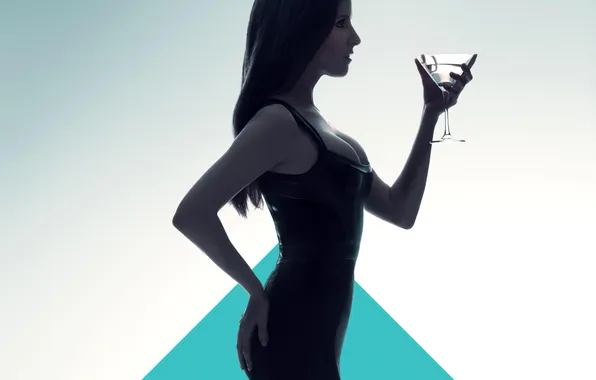 Girl, glass, figure, dress, brunette, silhouette, detective, Thriller