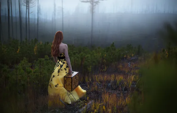 Picture forest, girl, suitcase