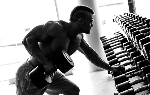Picture muscle, gym, bodybuilding, bodybuilder