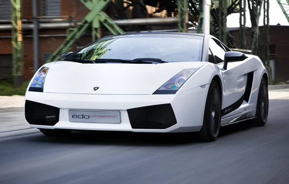Picture white, movement, supercar, gallardo, lamborghini, Lamborghini, edo competition, Gallardo