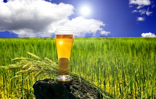 Picture field, summer, the sky, grass, the sun, clouds, glass, stone