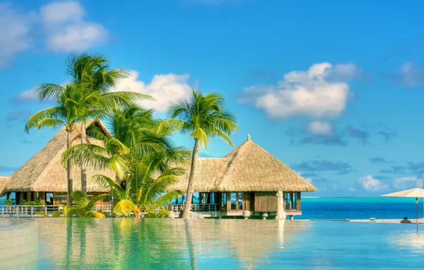 Tropics, palm trees, the ocean, pool, resort, exotic, Bungalow