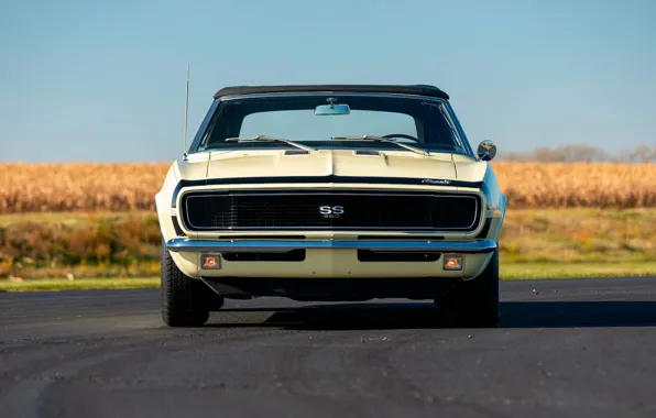 Chevrolet, Camaro, Road, Chevrolet Camaro SS