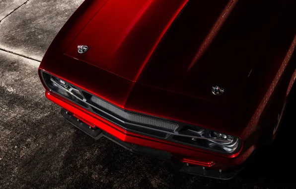 Red, the hood, chevrolet camaro