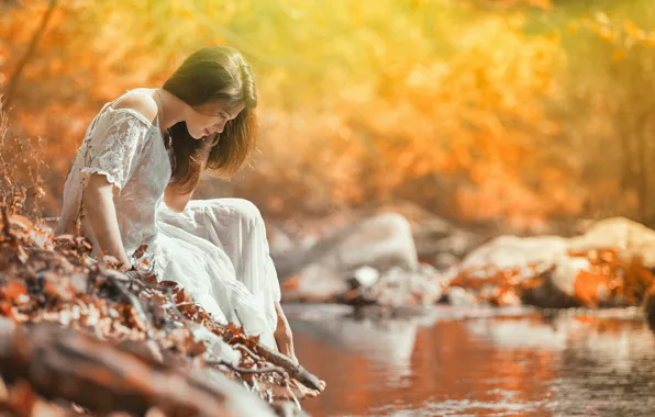 FOREST, DRESS, RIVER, AUTUMN, FOLIAGE, photographer Denis Tretyakov
