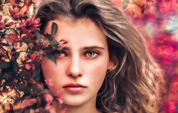 Look, face, portrait