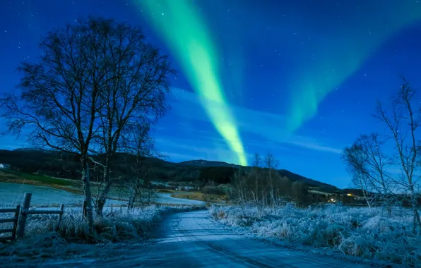 Winter, road, the sky, trees, Northern lights, Norway, Norway, Troms