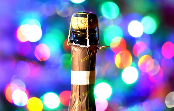 Holiday, wine, bottle