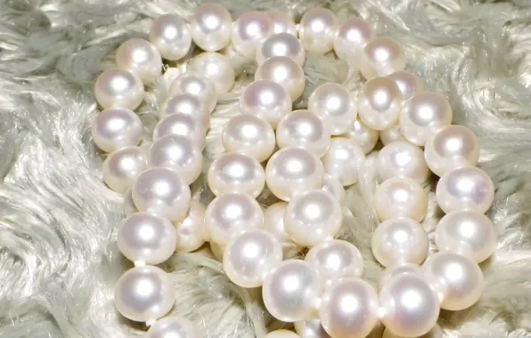 Picture light, Shine, pearl, beads, decoration, jewelry, white fur, pearl necklace