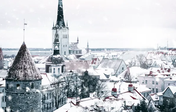 Picture city, white, winter, snow, Tallinn, Estonia, architecture, snowfall