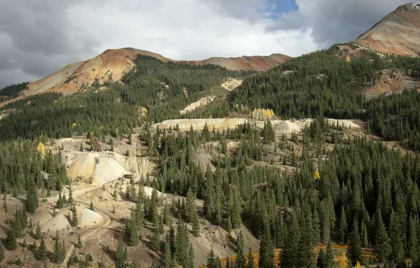 Trees, landscape, mountains, nature